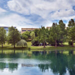 University of Surrey