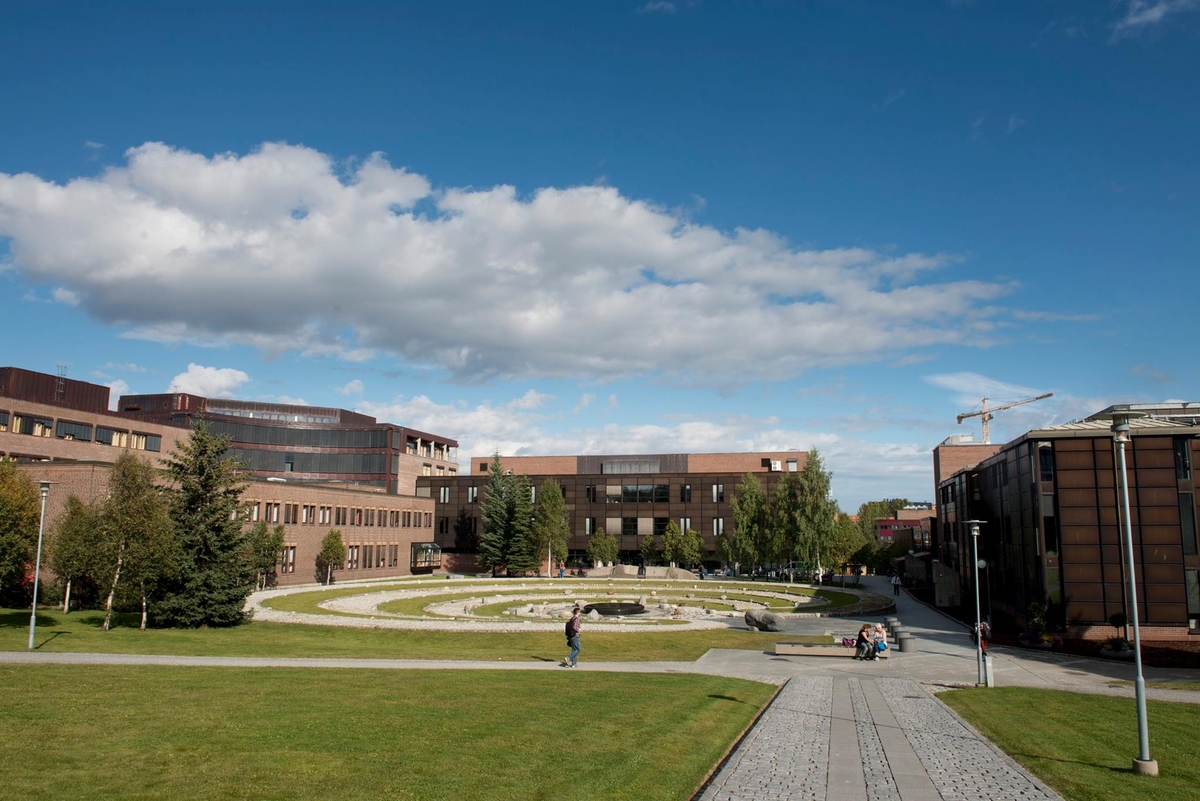norges arktiske universitet