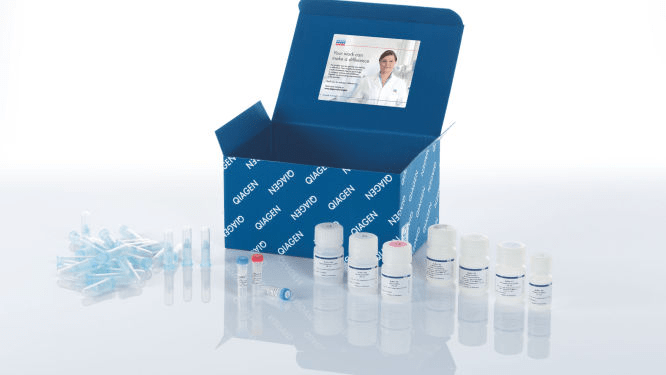 Bacteriophage DNA extraction kit by QIAGEN