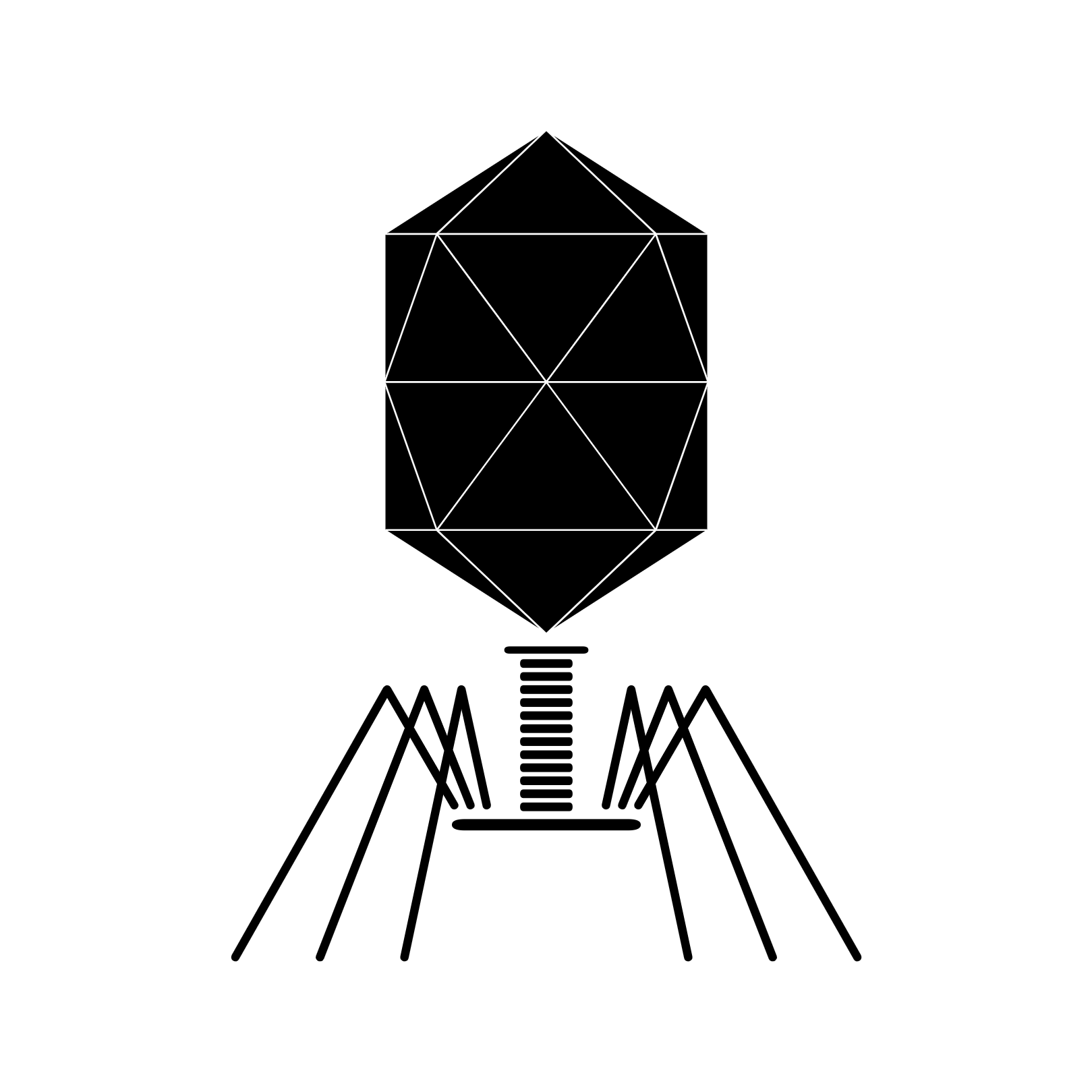 the phage blog icon