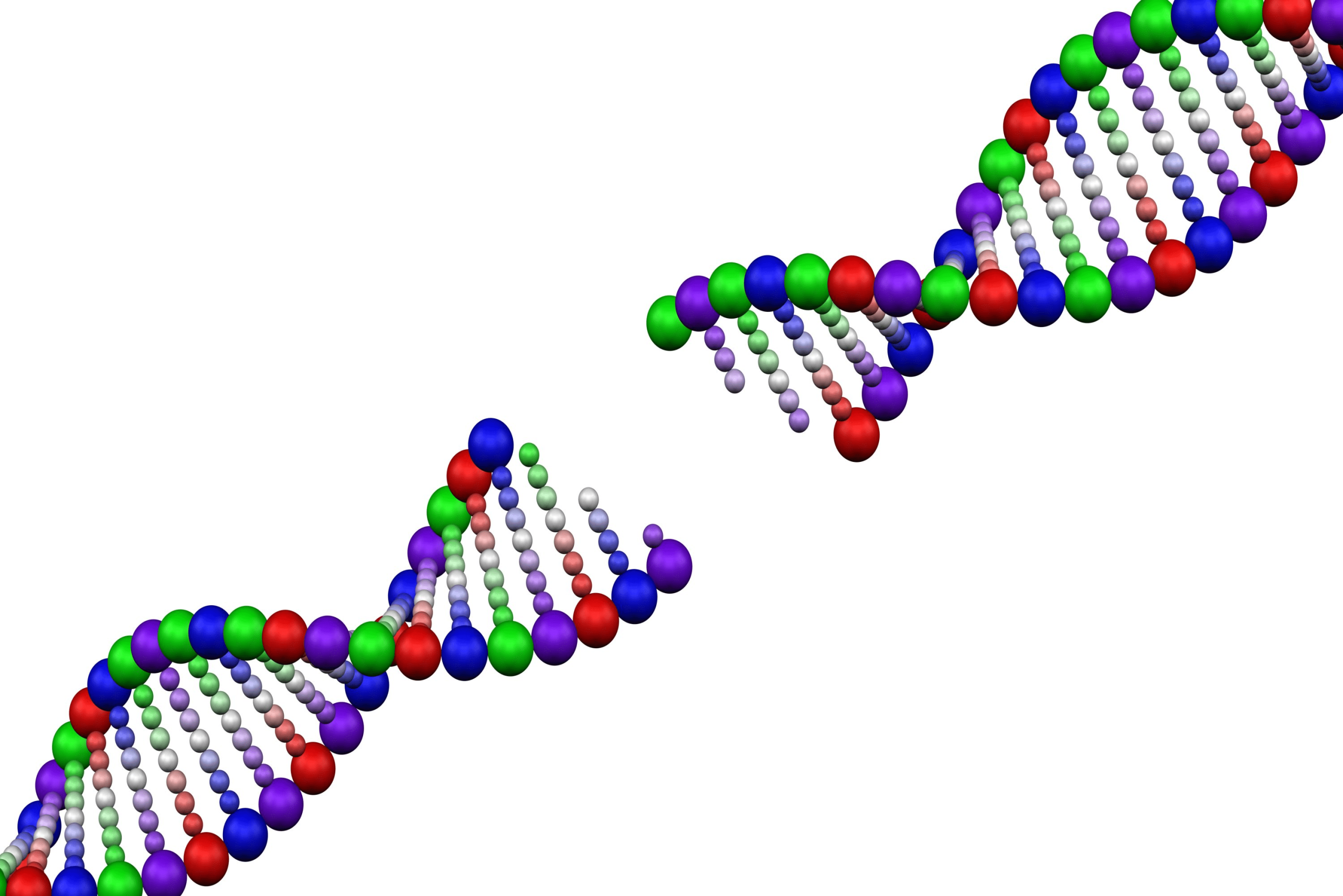 DNA strand Phage genome assembly