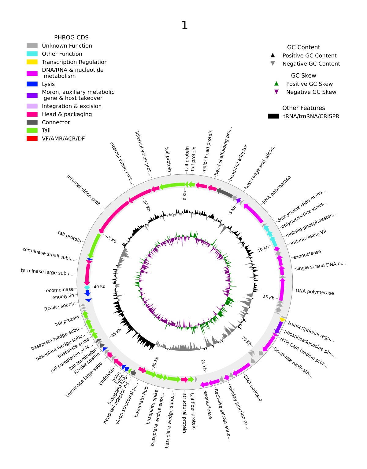 Phold: Phage Genome Annotation Using Structural Homology