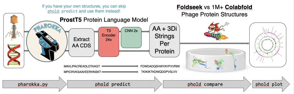 PHOLD tool workflow