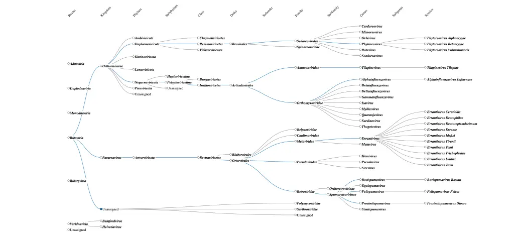 The ICTV virus taxonomy photo of an interactive visual display.