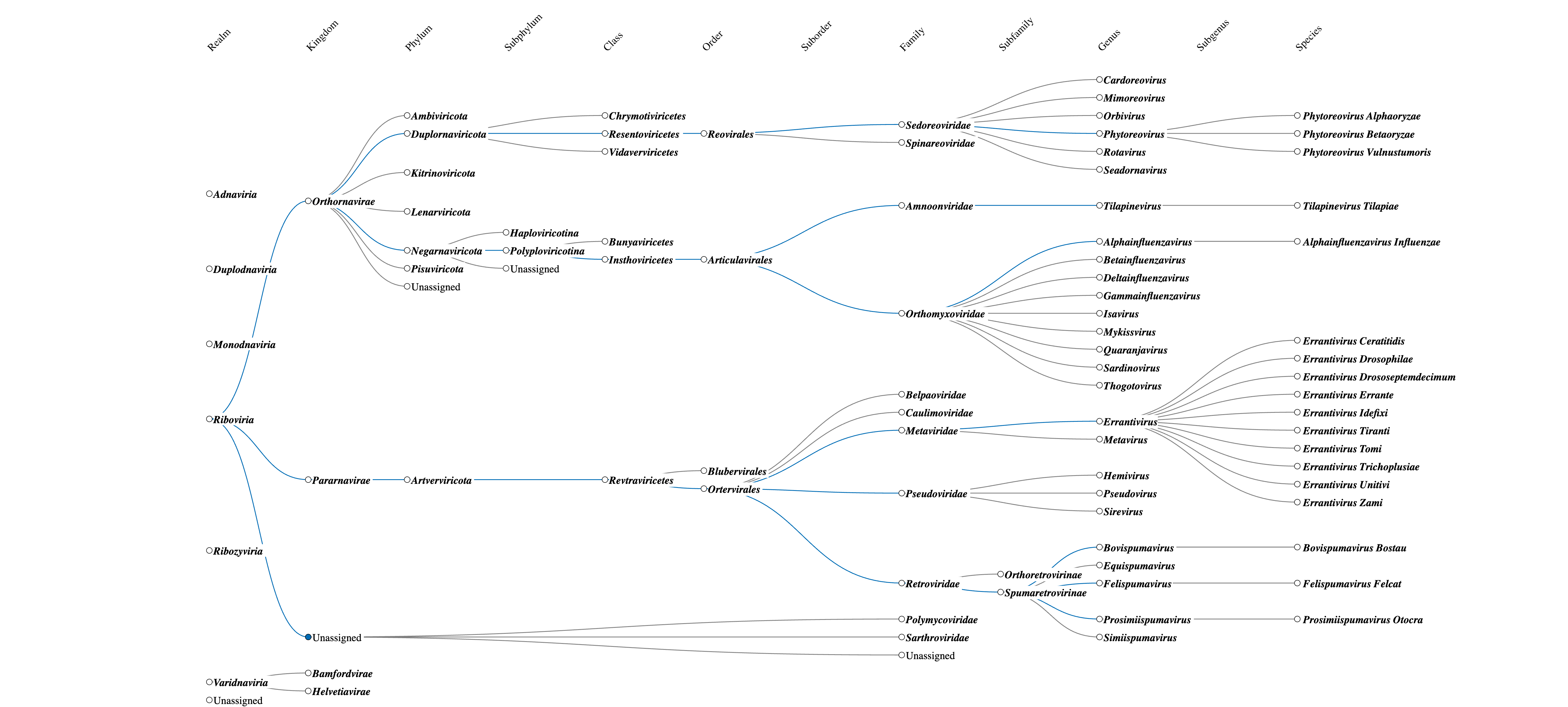 The ICTV virus taxonomy photo of an interactive visual display